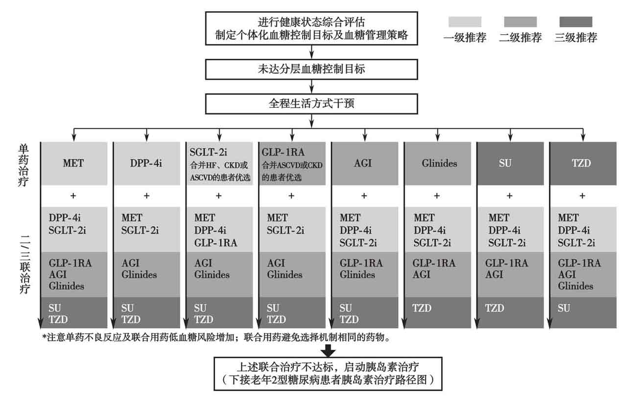 图1 老年T2DM患者非胰岛素治疗路径图.jpg